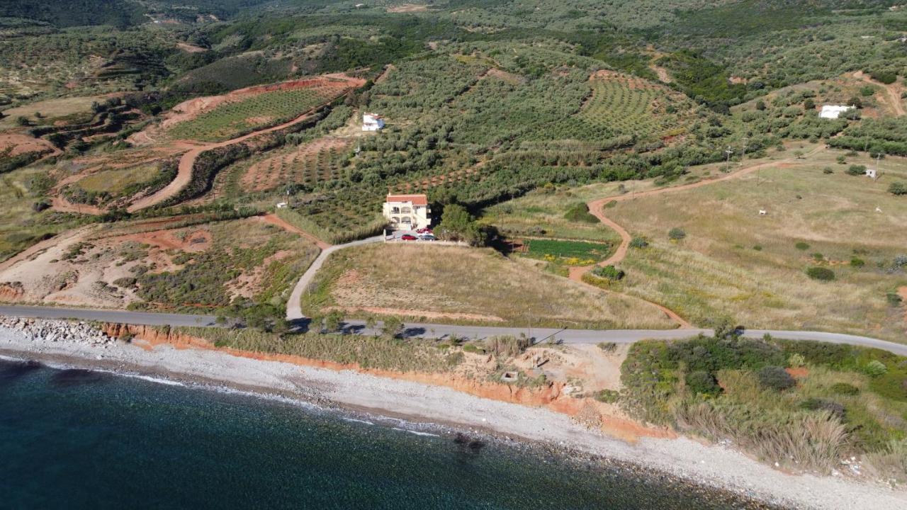 Studio Margarita Villa Marifay Psifia Exteriör bild